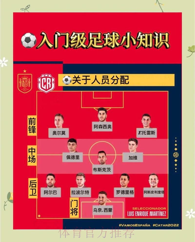 世界杯投注全景解析与实用教程